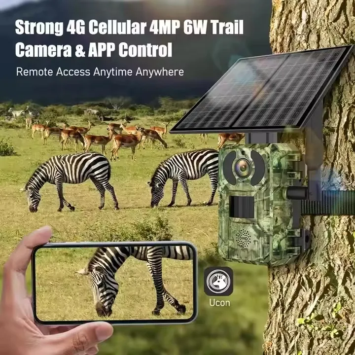 4G Trail Camera View 2