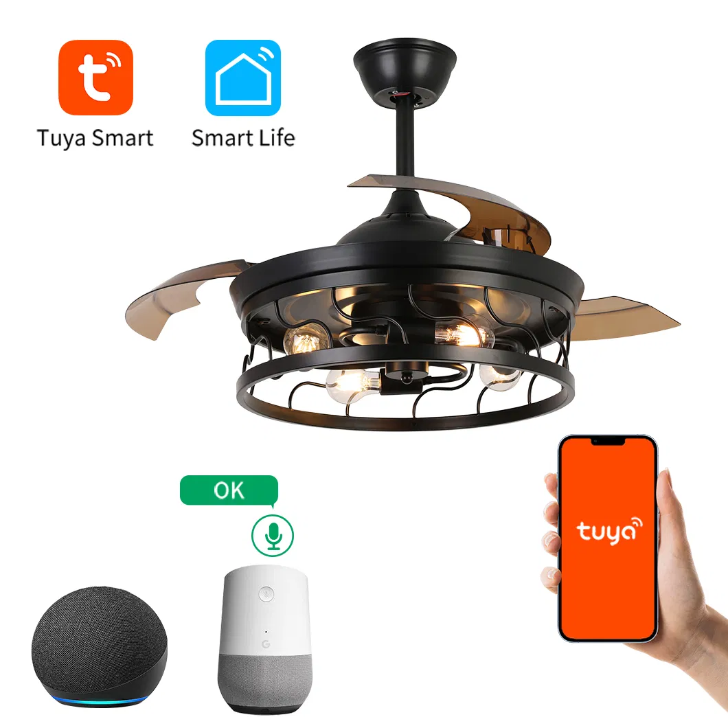 Iron DC Motor Hidden Blades Remote Control Invisible Ceiling Fan with LED Lighting