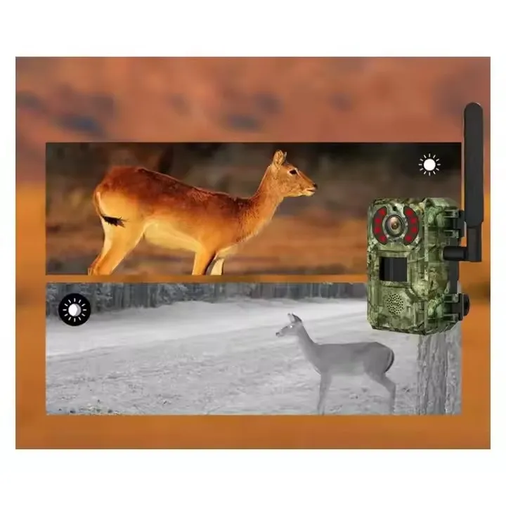 4G Trail Camera View 6