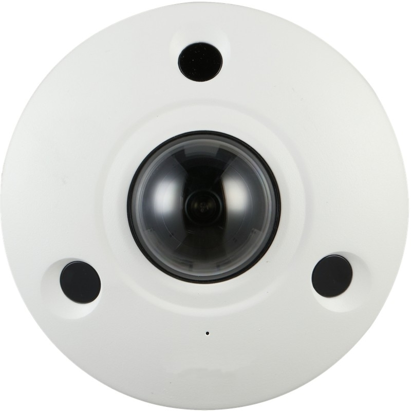 Dahua 12MP 360 Degree Fisheye Ai IP Camera for Commercial Surveillance