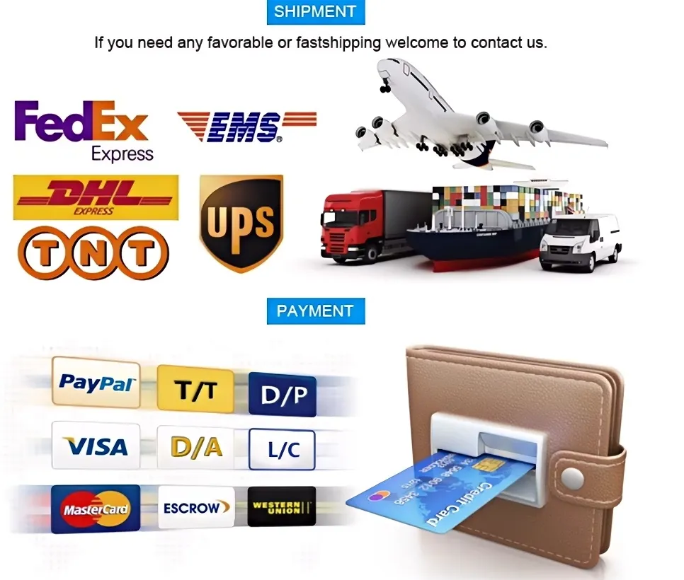 Shipping and Payment Methods