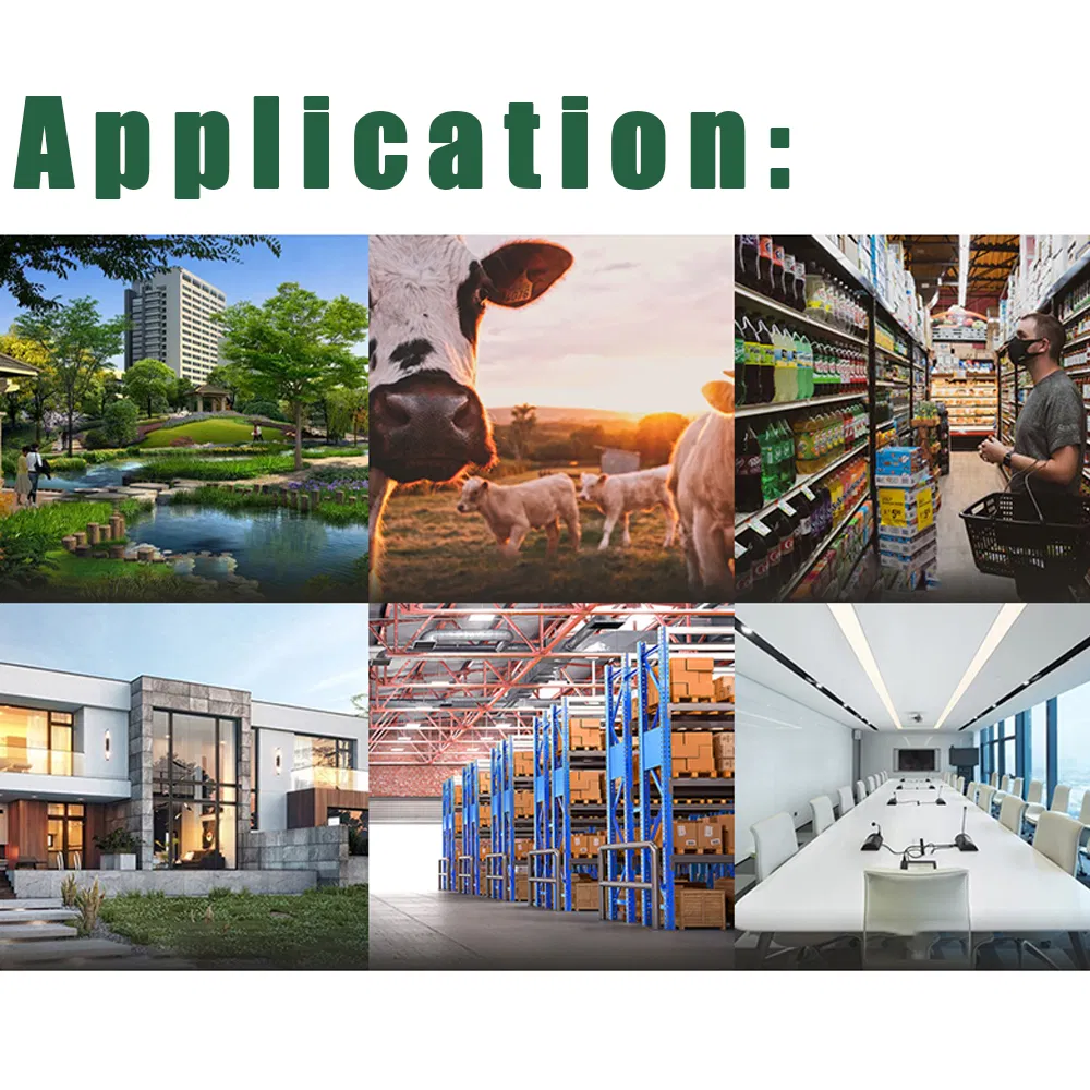 WiFi Security Camera View 7