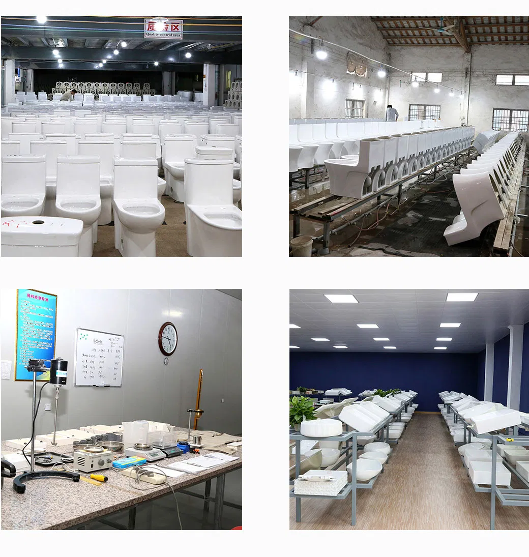 One Piece Toilet View 12