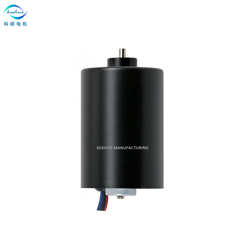 3650 Brushless DC Motor 12V 36mm High Speed BLDC Motor for RC Car Vacuum Cleaner Smart