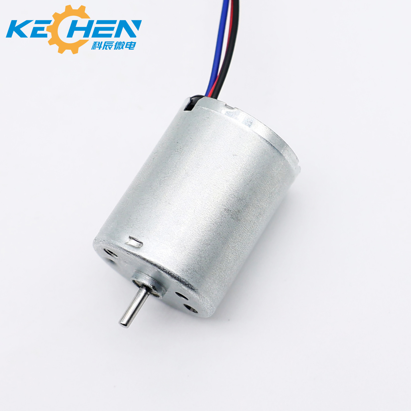 Bl2430 24mm Brushless DC Motor 12V 500RPM with Permanent Magnet Construction for Home Appliance & Cosmetic Instrument Use