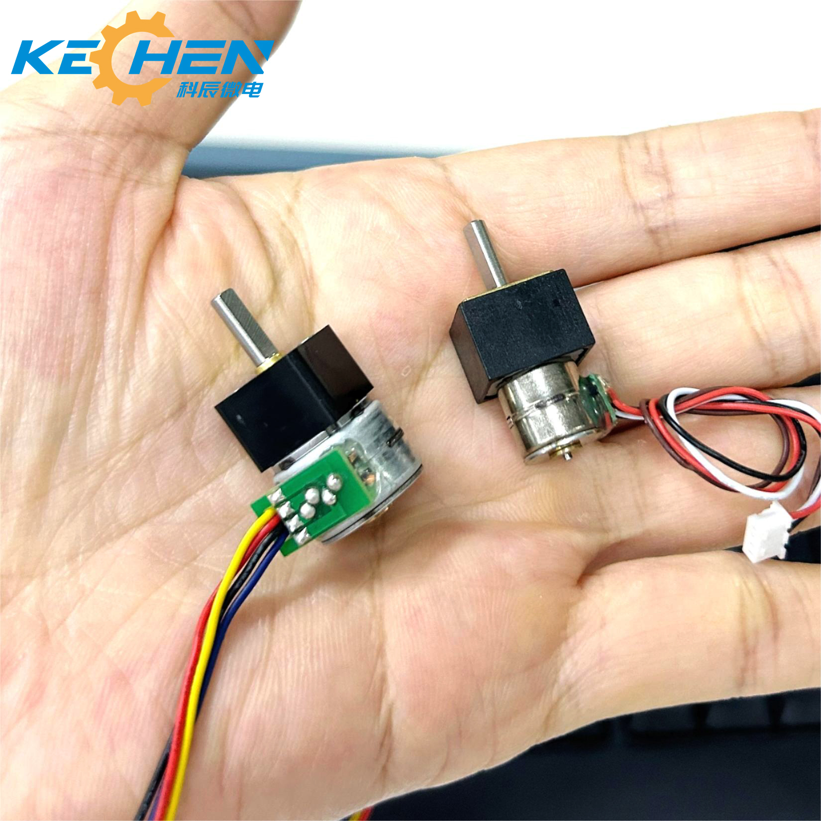 15mm Brushless DC Micro Stepper Motor 12V 2-Phase 4-Wire Electric Gearbox High Torsion Slow Speed Permanent Magnet Metal Gear