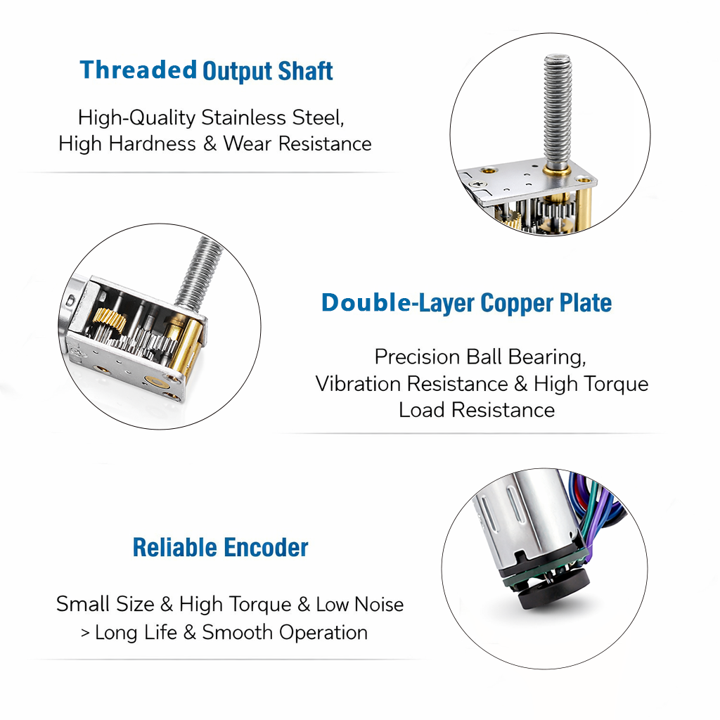 Motor Structure Profile