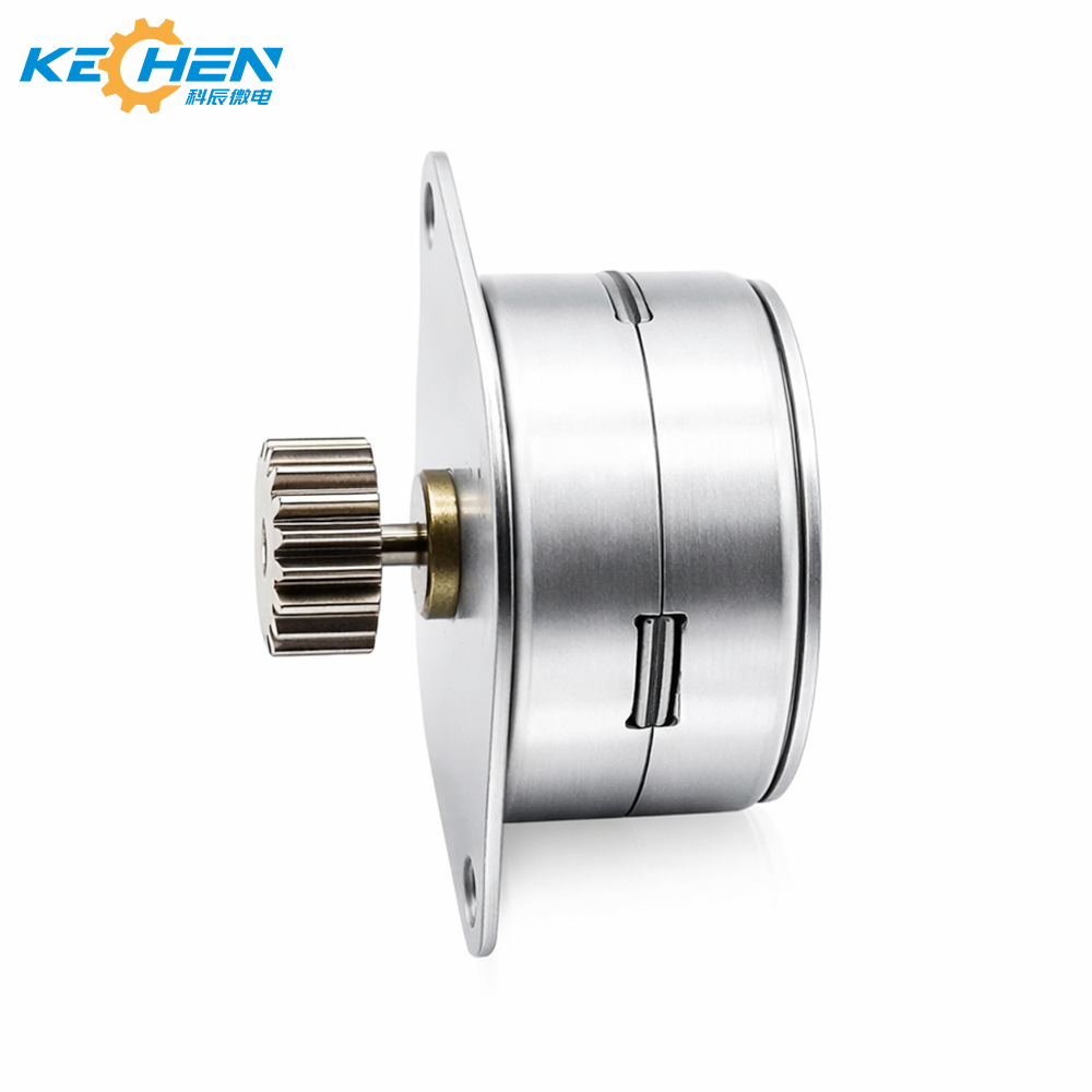25mm Industrial Permanent Magnet 2 Phase Stepper Motor with Gear 3V-24V DC Control ROHS Certified for USA Medical Equipment