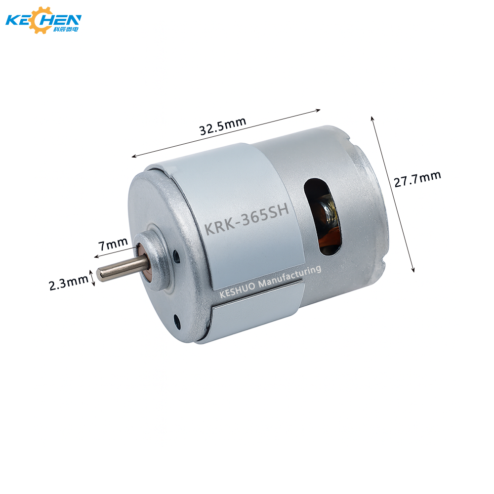 Small DC Motor