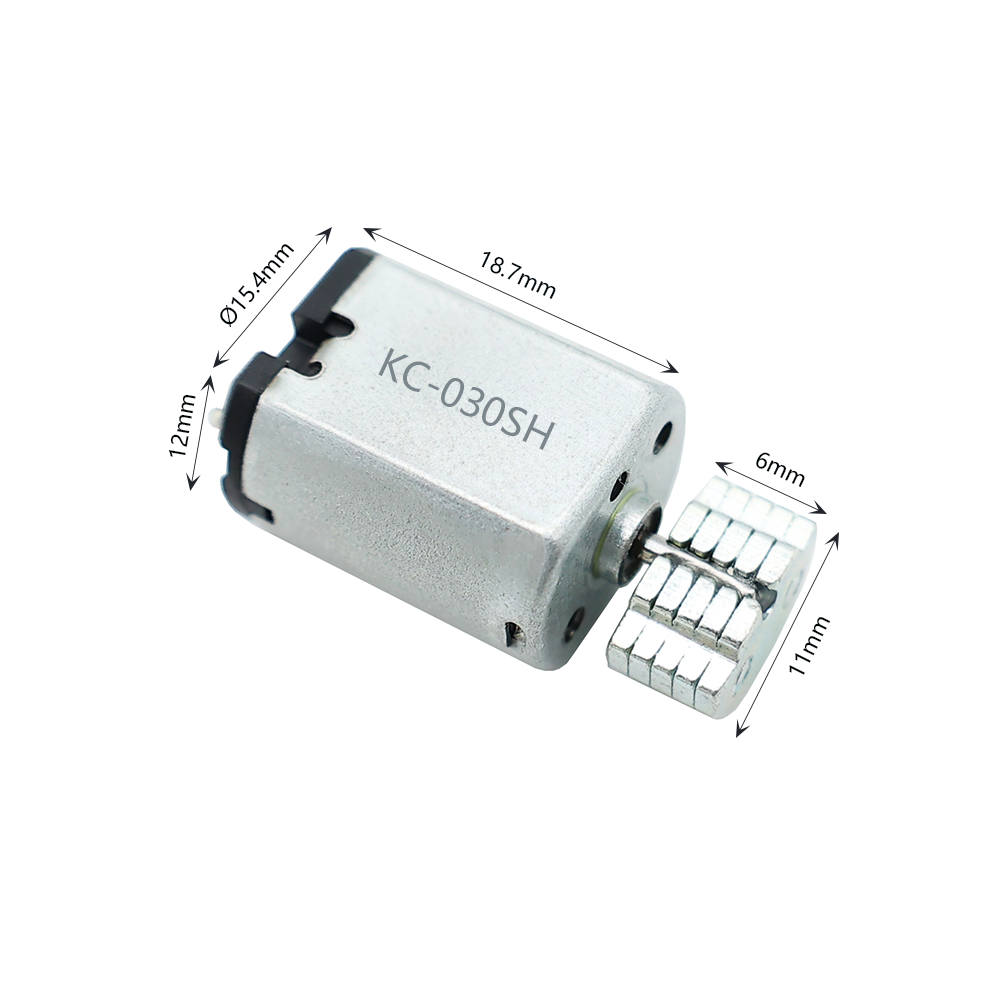 030 Carbon Brushed Micro DC Motor