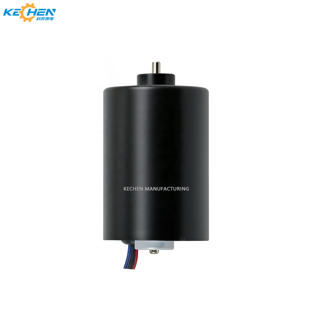 12V/24V 3650 Brushless DC Motor 36mm High Torque BLDC Motor for RC Boat Small Vacuum Smart Home Devices