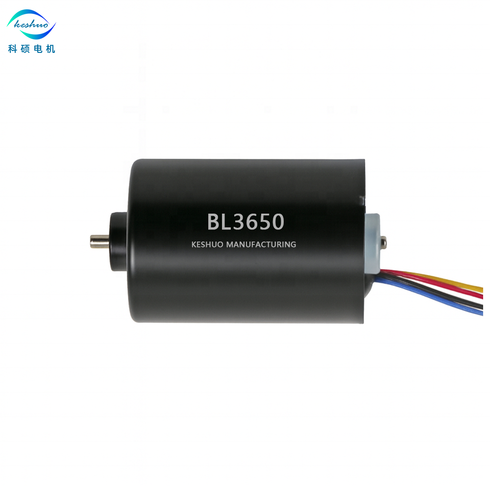 3650 Brushless DC Motor 12V 36mm High Speed BLDC Motor for RC Car Vacuum Cleaner Smart