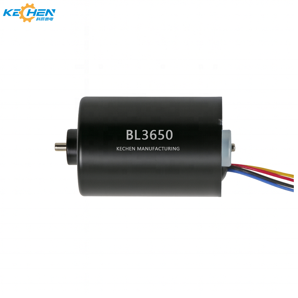 12V/24V 3650 Brushless DC Motor 36mm High Torque BLDC Motor for RC Boat Small Vacuum Smart Home Devices