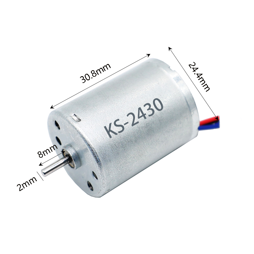Bl2430 24mm Brushless DC Motor 12V 500RPM with Permanent Magnet Construction for Home Appliance & Cosmetic Instrument Use