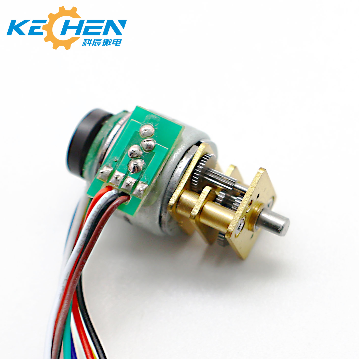 Customized 12V 2-Phase 18 Degree Step Angle Permanent Magnet Stepping DC Motor with Encoder for Medical Instruments