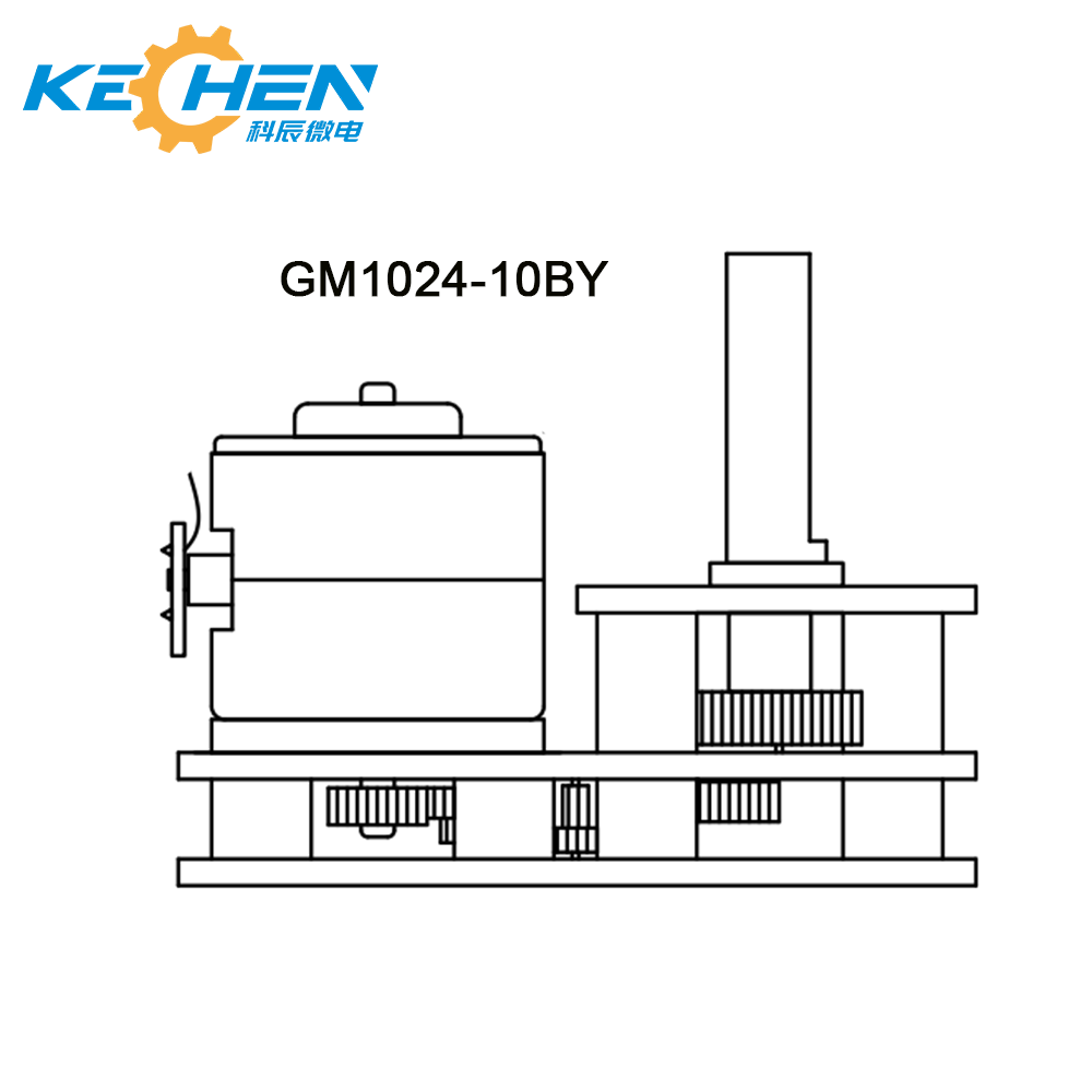 GM1024-10BY 10mm Worm Gear Micro Stepper Motor with High Precision Permanent Magnet for Medical Testing Equipment
