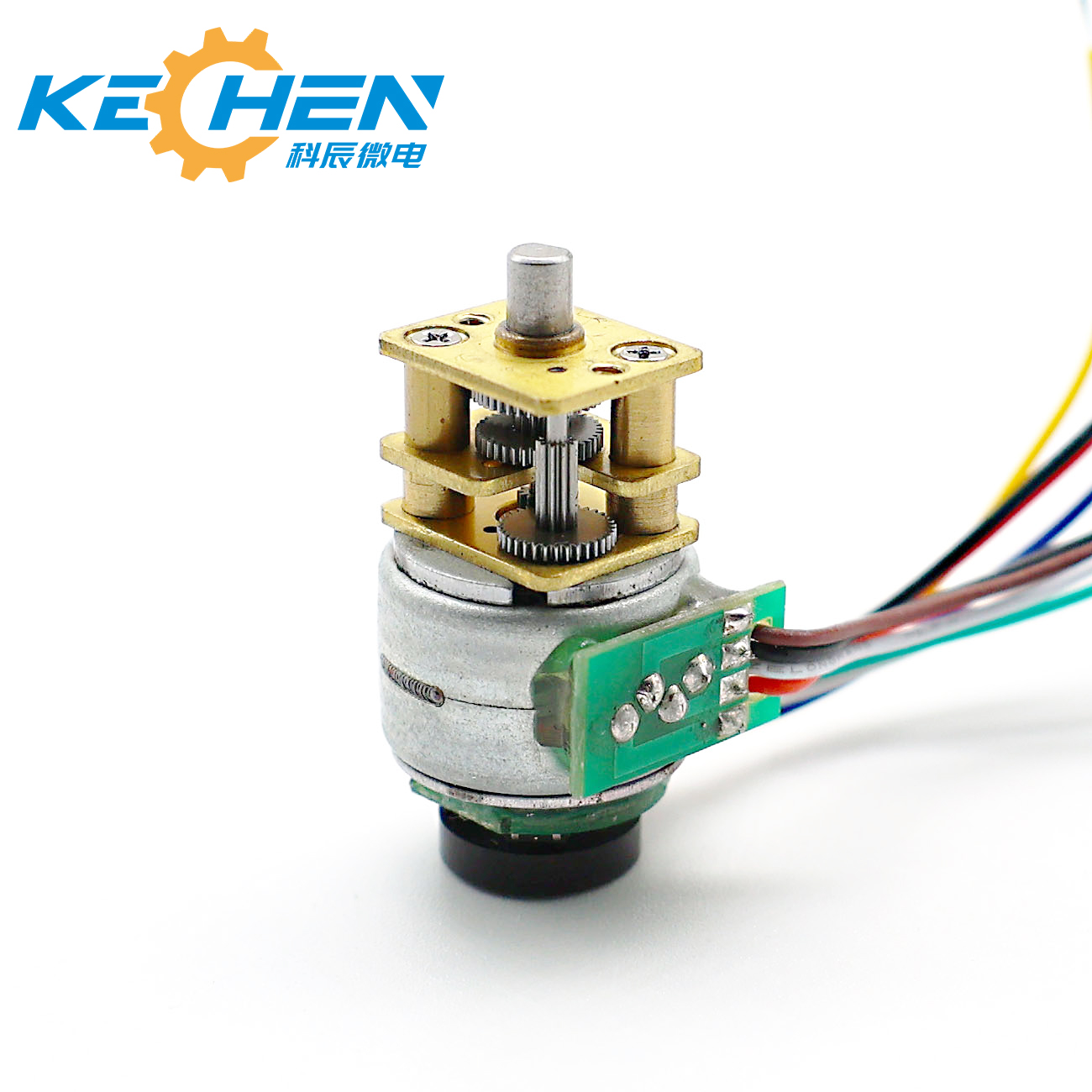 Customized 12V 2-Phase 18 Degree Step Angle Permanent Magnet Stepping DC Motor with Encoder for Medical Instruments