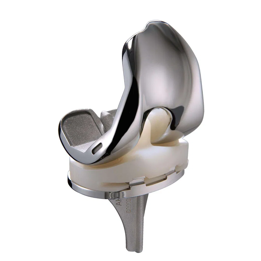 A3 Primary Total Knee Joint