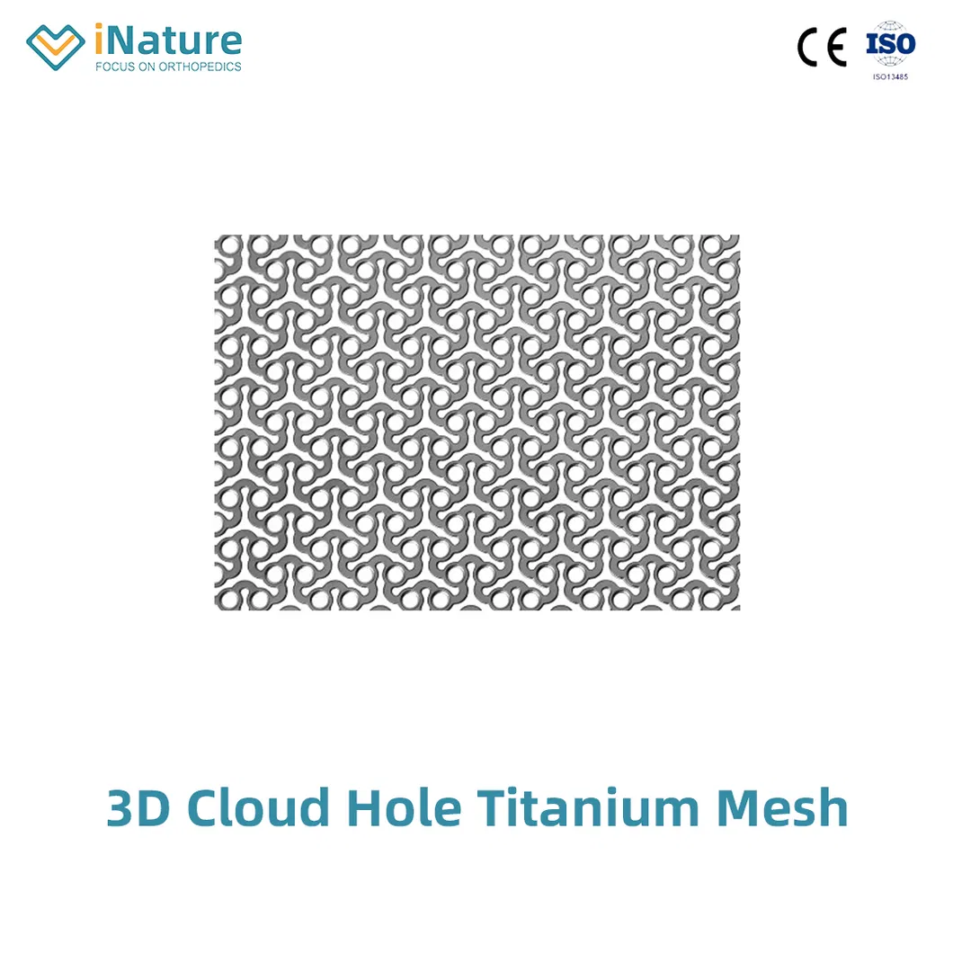 Titanium Mesh 2