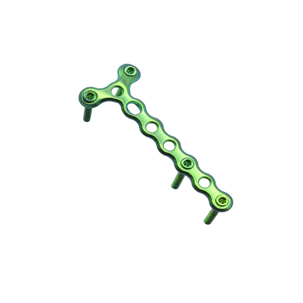 Bone Plate Maxillofacial Mini Micro Locking T Plate Bone Implant