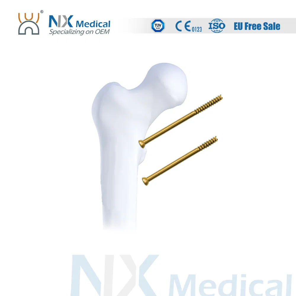 Orthopedic Cannulated Screw for Bone Fixation Trauma Implant