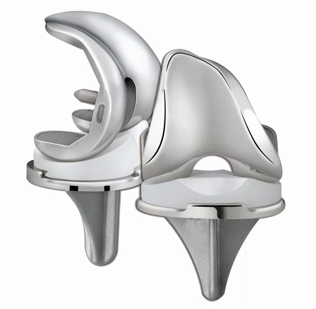 A3 GT Personalized Total Knee Joint