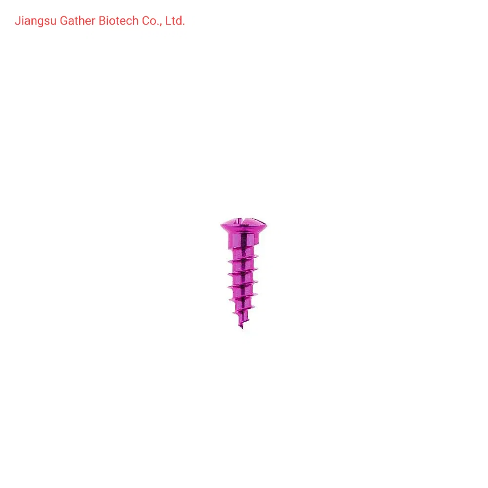 Orthopedic Maxillofacial Micro Straight Plate 0.6mm Thickness, Maxillofacial Trauma Orthopedic Implant Titanium Plate and Screw