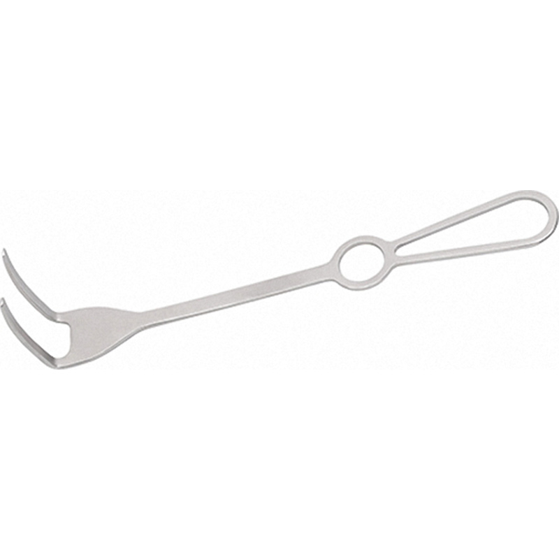 Jinlu Medical Good Price Orthopedic Trauma Surgical Equipment Double Teeth Hook