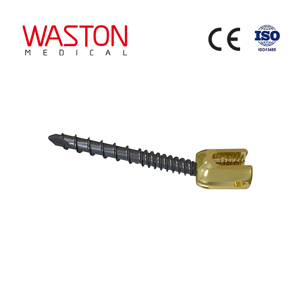 Master 10 Spinal System,Titanium Alloy, Orthopedic Implant, Spine, Surgical, Medical Instrument Set, with CE/ISO/FDA, Dislocation, Fracture, Lumber and Cervical