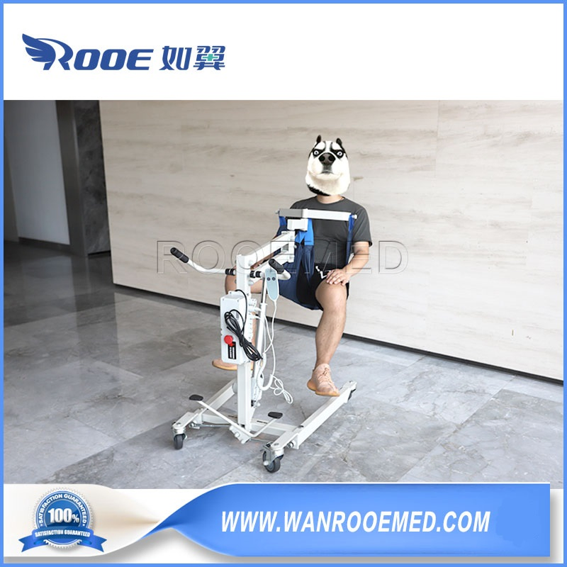 Dg204 Electric Homecare Type Vehicle Patient Lift for Nursing Staff Transfer The Disabled