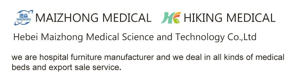 Professional Service