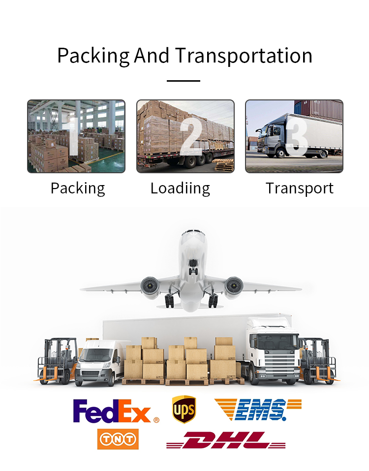 Shipping Logistics