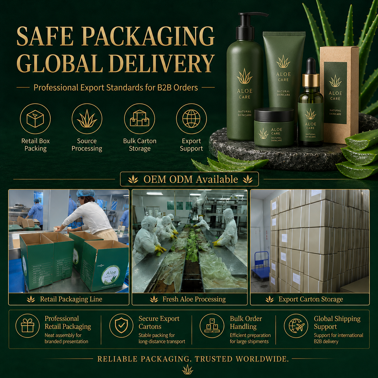 High Quality Plant Based Aloe Vera Night Cream, Gentle Soothing Moisturizing Facial Moisturizer Suitable for All Kinds of Skin