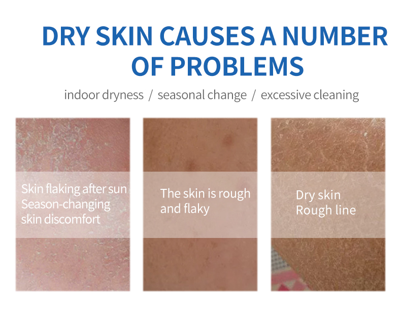 Product Description 3