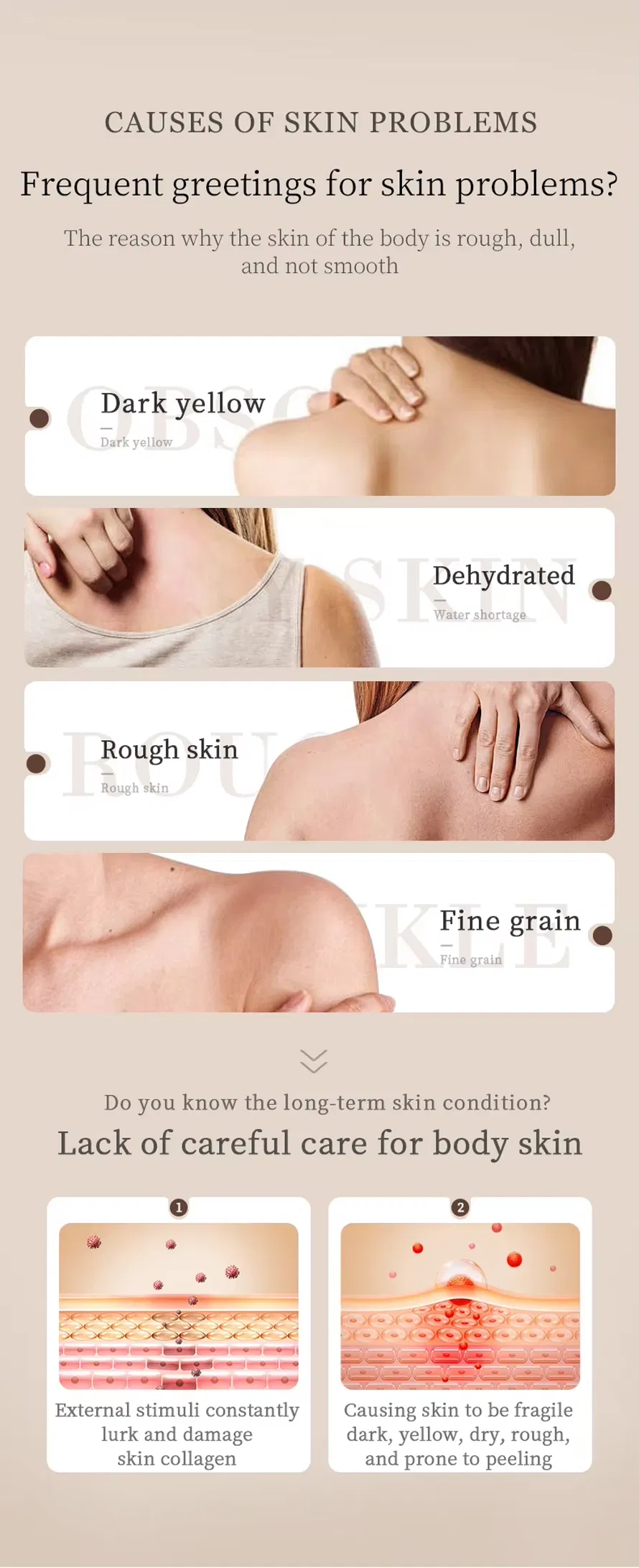 Body Lotion Photo 3