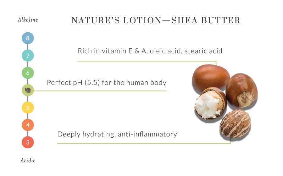 Private Label Skin Whitening Lightening Organic Cocoa Butter Body Lotion for Sensitive Skin