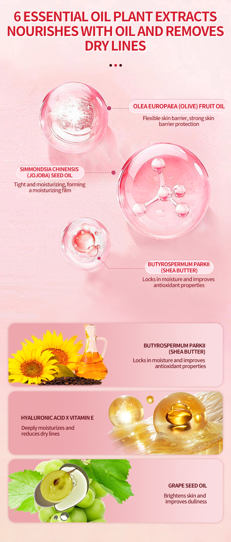 Product Details 5
