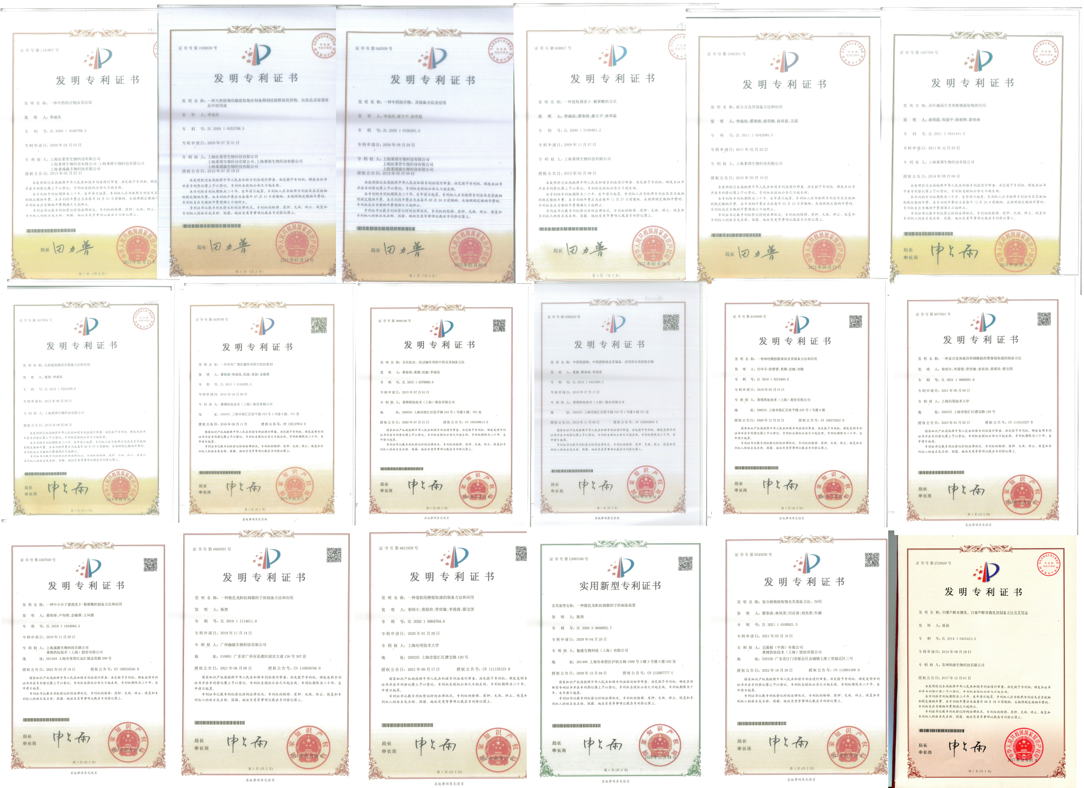 Invention Patent Certificate