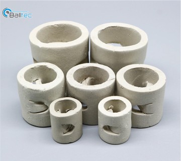 Ceramic Pall rings tower packing for distillation columns