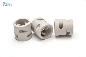 High Quality Factory Price Scrubber Random Tower Packing Ceramic Pall Ring
