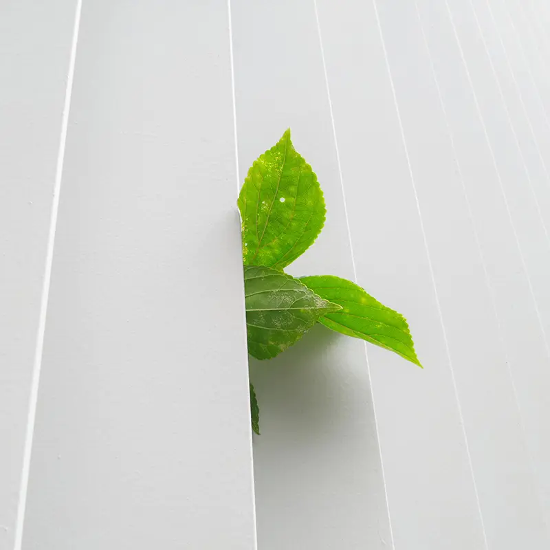 Ecogarments Environmental Philosophy