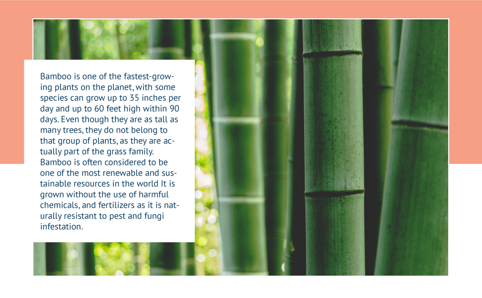 Natural Bamboo Fiber Material