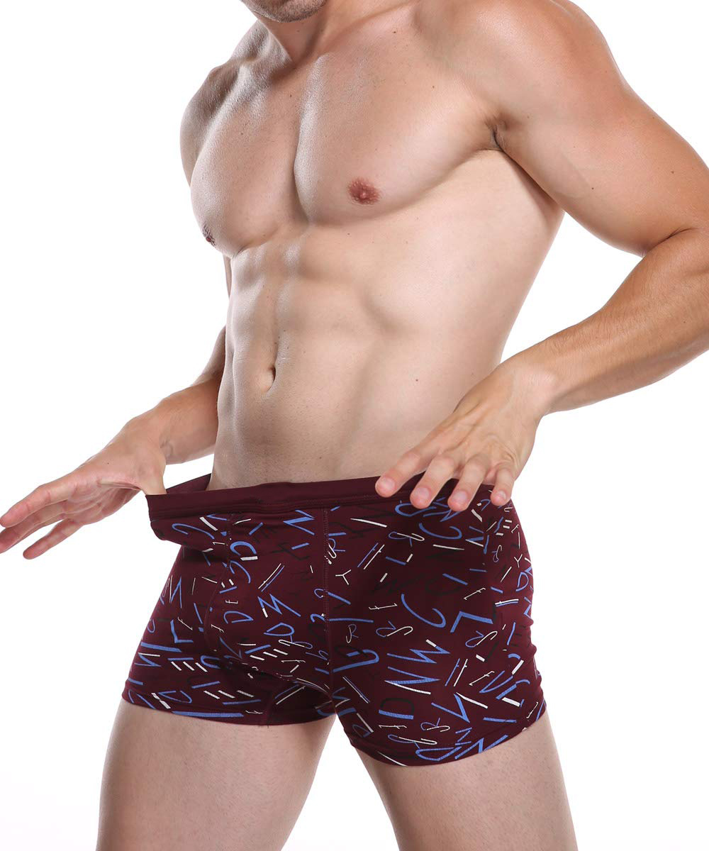 Men's Underwear Soft Bamboo Boxer Briefs (6)