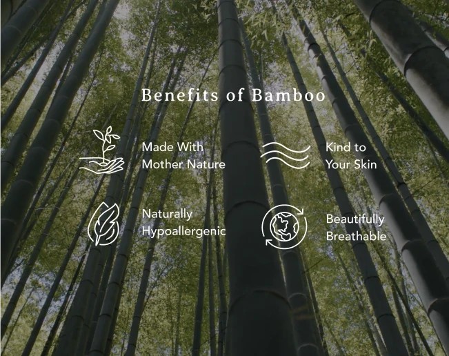 Bamboo Eco-friendly fabric