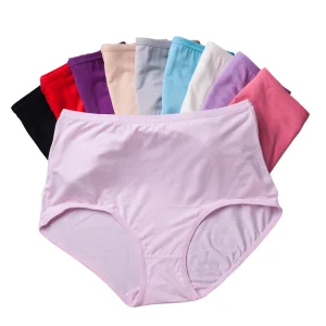 Wholesale Bamboo Fiber Women's Briefs Exporter