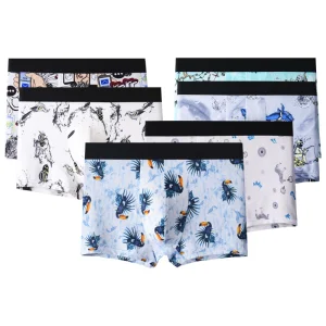High-Quality ECOGARMENTS 3D Printing Ice Silk Men's Boxer