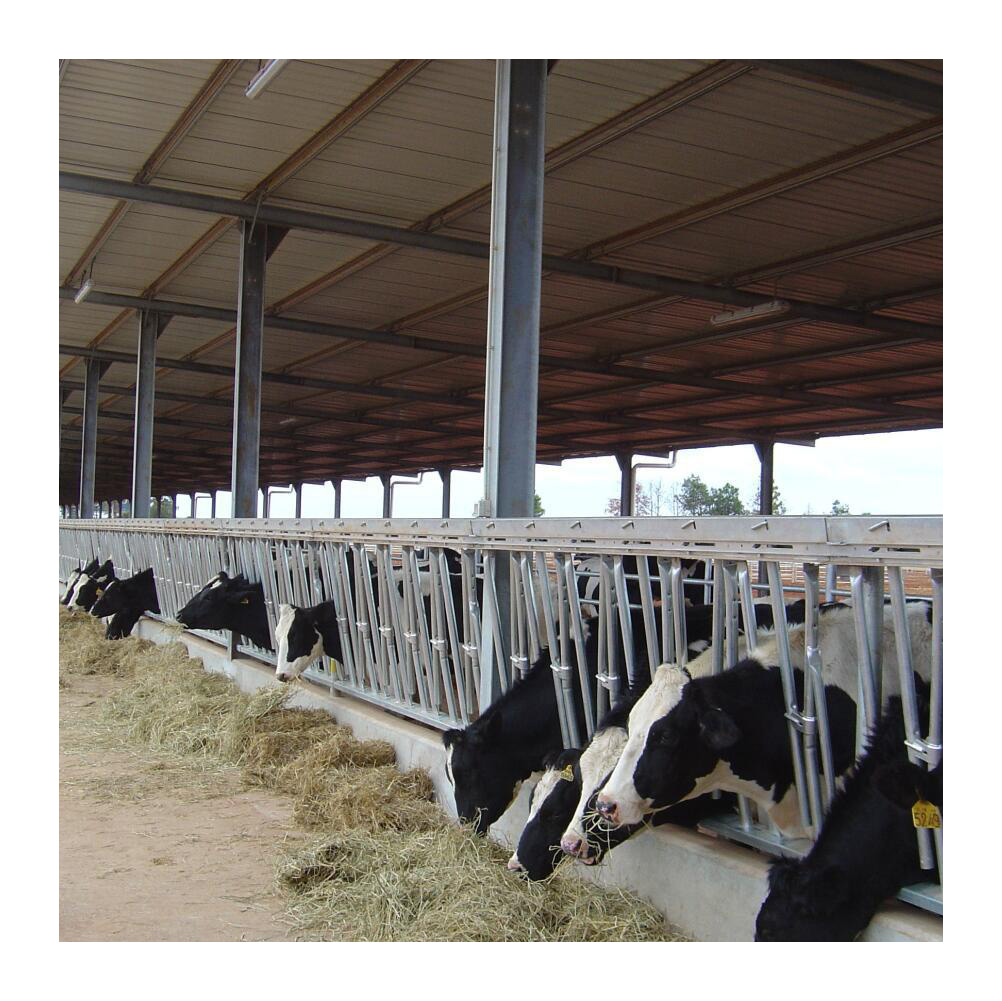 2026 Hot Sale Customized Design Light Steel Structure Horse Storage Shed Barn Steel Structure Building Poultry House