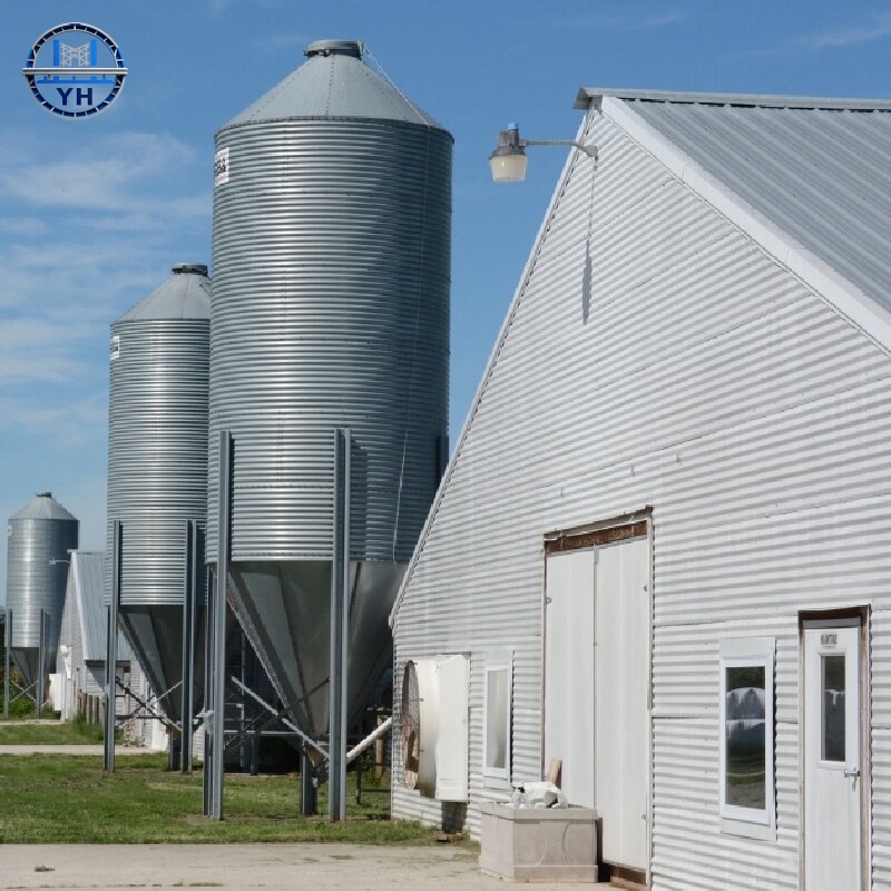Modern Prefabricated Design Commercial Chicken House with Steel Structure, Laying Hens Shed for Poultry Farm for Sale