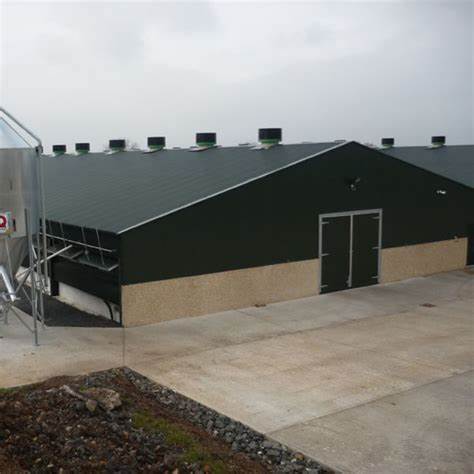 Reliable Low Cost Steel Structure Prefabricated Pig House Livestock Farm for Modern Agriculture