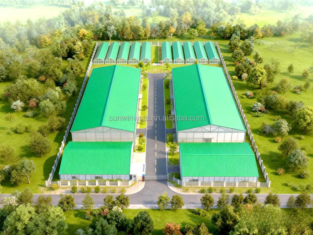 Steel Structure Industrial Farm Building Agricultural Structure for Chicken House Farm House and Livestock Animal House